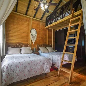 Alicat , Tulum Mexique