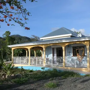 Stenella , Bouillante Guadeloupe